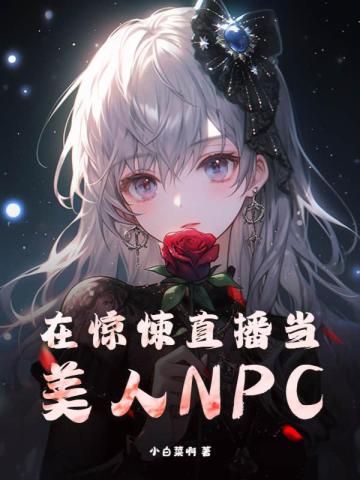 �ھ��ֱ��������NPC